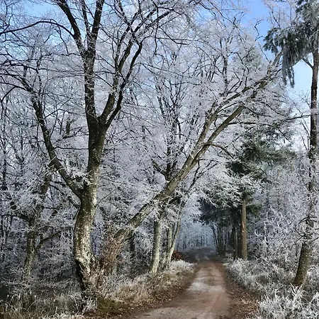 Domaine Du Haut-koenigsbourg 3*