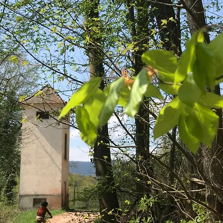 Domaine Du Haut-koenigsbourg * Orschwiller