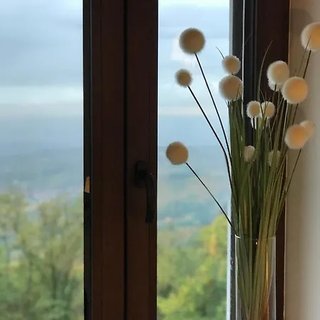 Bed & Breakfast Domaine Du Haut-koenigsbourg *