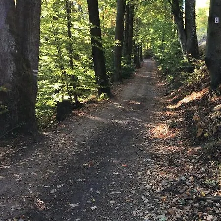 Domaine Du Haut-koenigsbourg 3* Orschwiller